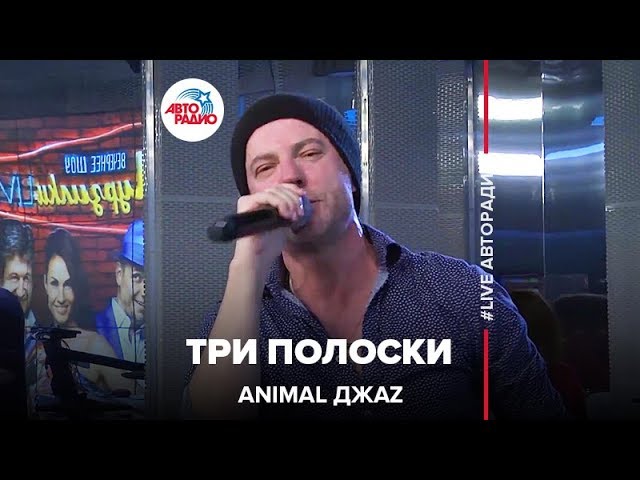 Три полосы песня. Анимал джаз три полоски. Три полоски animal ДЖАZ. Три полоски animal ДЖАZ текст. Клип Анимал джаз три полоски.