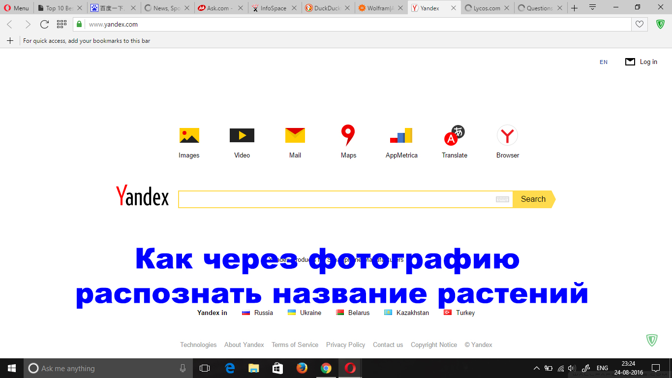 яндекс распознаватель по фото