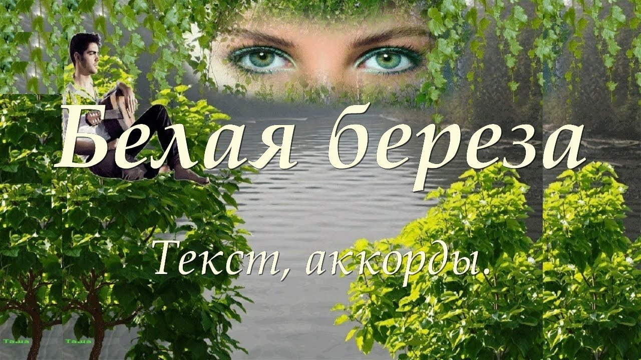 Петлюра береза. Белая берёза дворовая песня текст