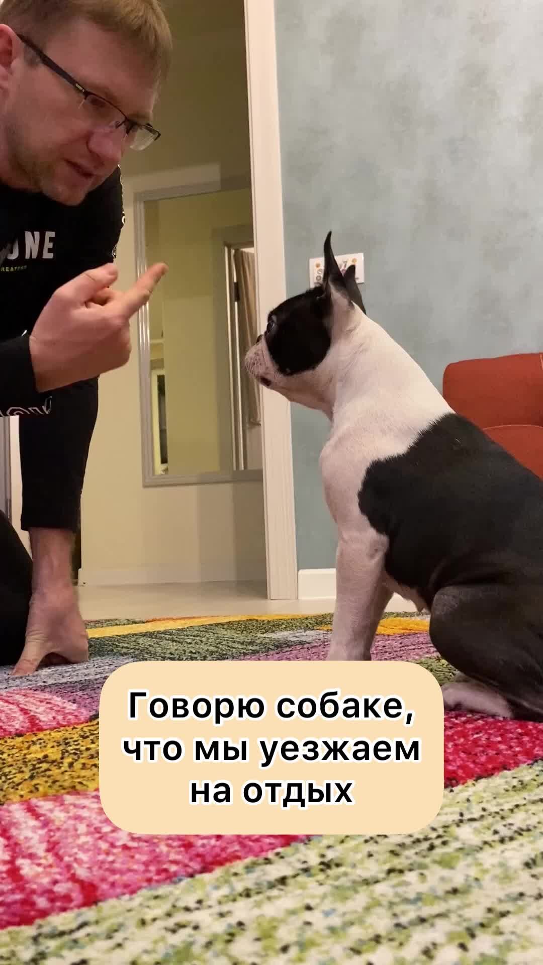 А я когда поеду в египет