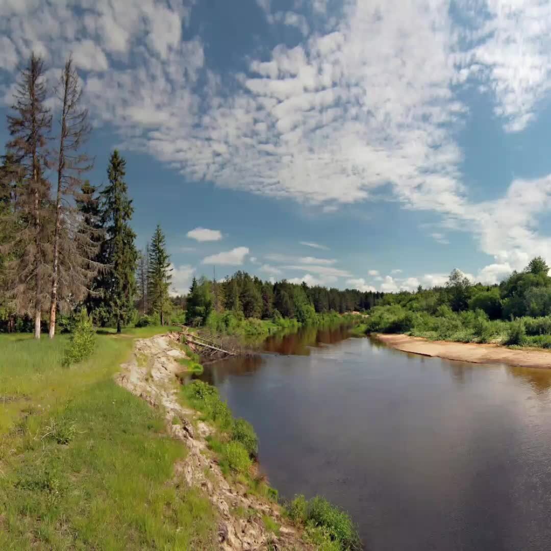 Фотография реки. Речка Узола Нижегородская область. Река Узола. Узола Нижний Новгород река. Реки Нижегородского края Узола.