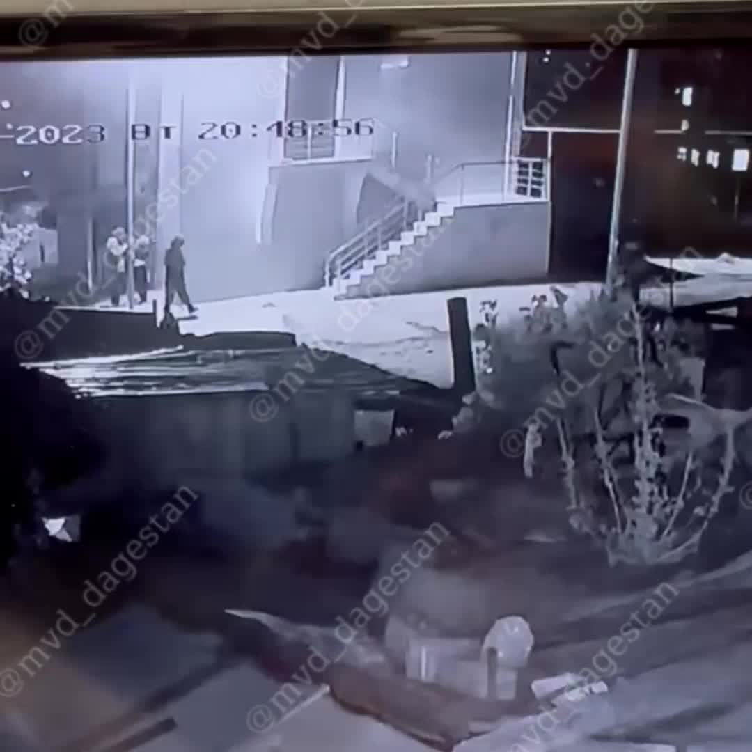 Голос дагестана чп
