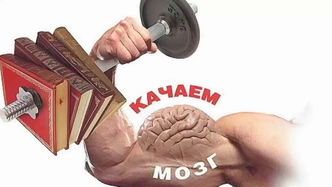 Тренировка ума. Тренировка мозга. Спорт и мозг. Спорт и интеллект