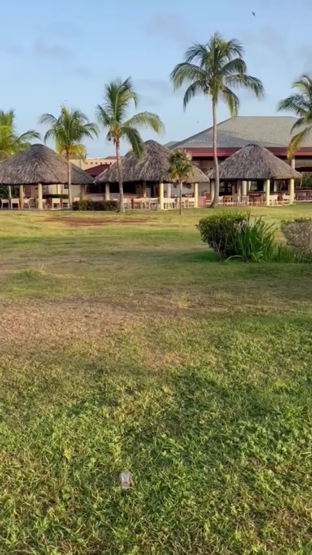 Куба отель Varadero Memories