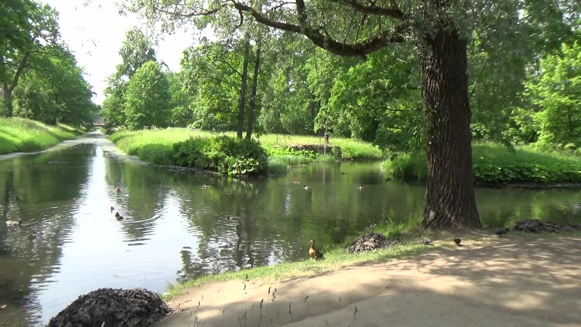 ровеньки александровский парк