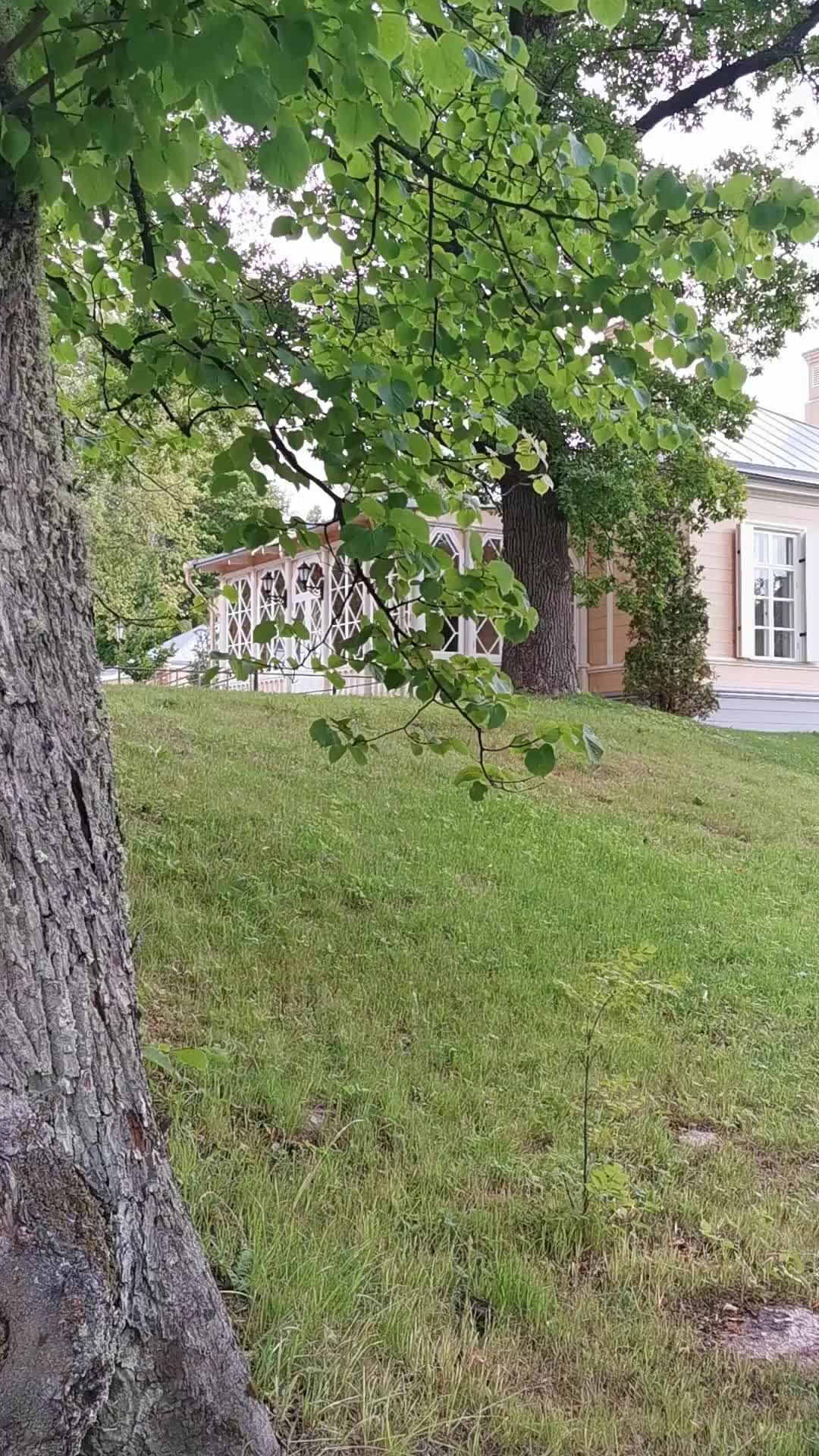 г выборг парк монрепо
