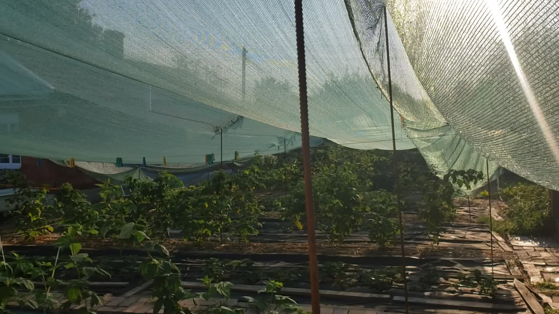 порванный украинский флаг. генерал гавс приказал покинуть саратов. украинский флаг разорвало ветром. тучи днем в городе. рваный ветер 2019.