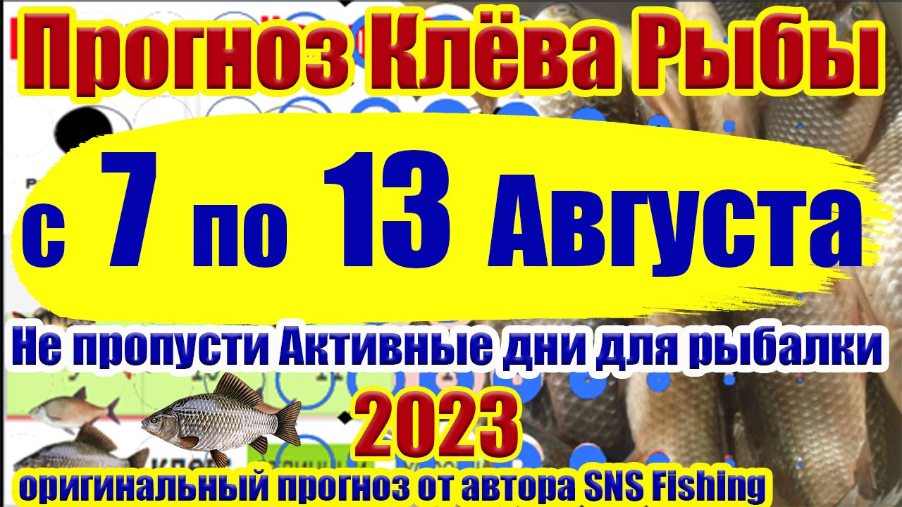 Рыбалка астана прогноз клева. Прогноз клева в августе 2024. Прогноз клева в августе 2024. Прогноз клева в августе 2024. Клев по фазам луны.