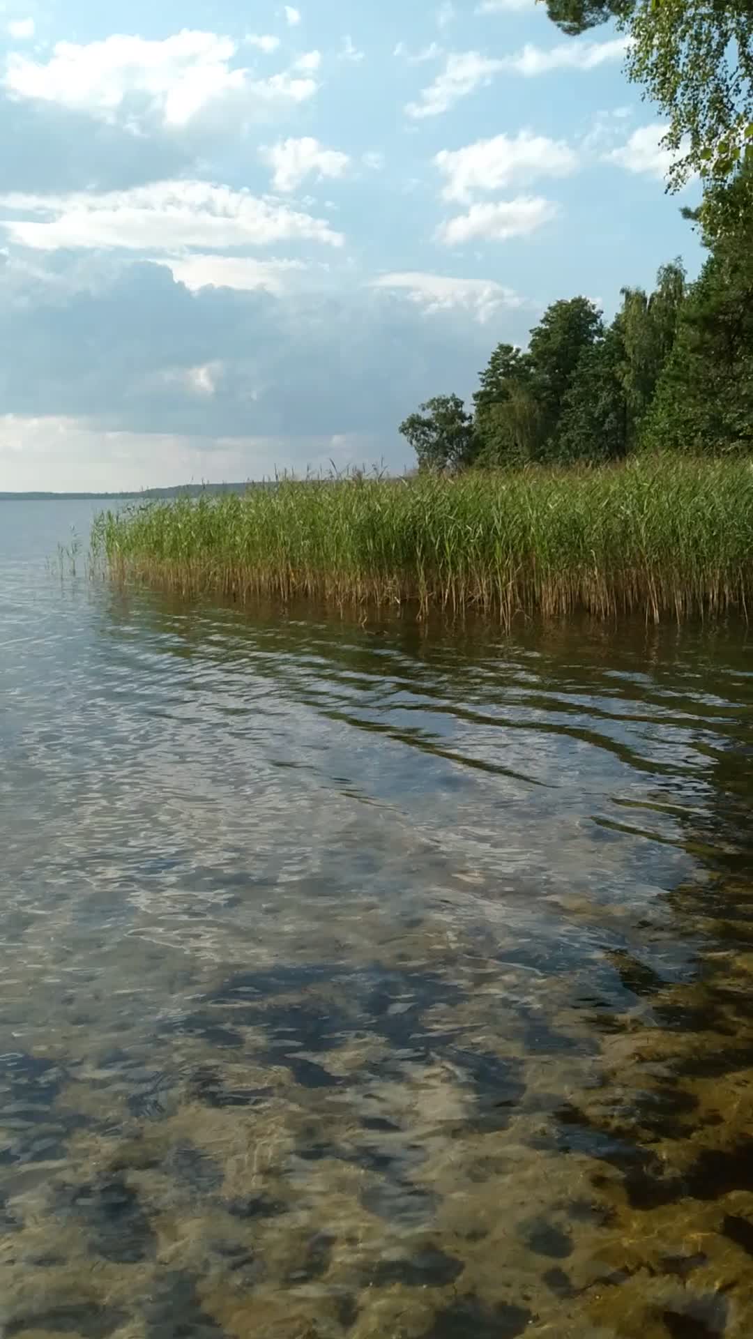 турбаза чайка рубское озеро