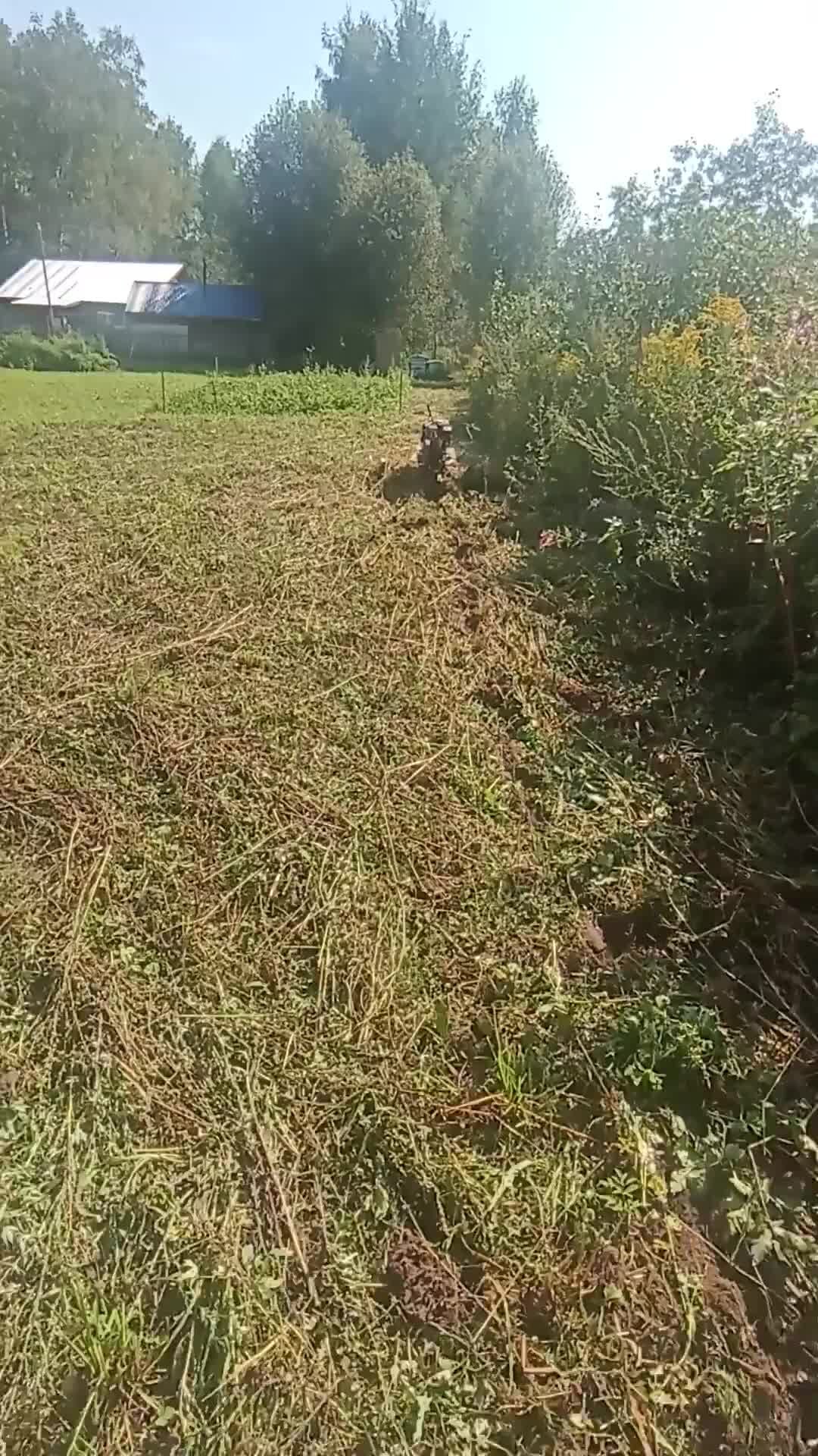 ПОЧТИ ДЕРЕВНЯ. ПЧЁЛЫ. МОТОБЛОК. | Фрезеруем участок мотоблоком под ...