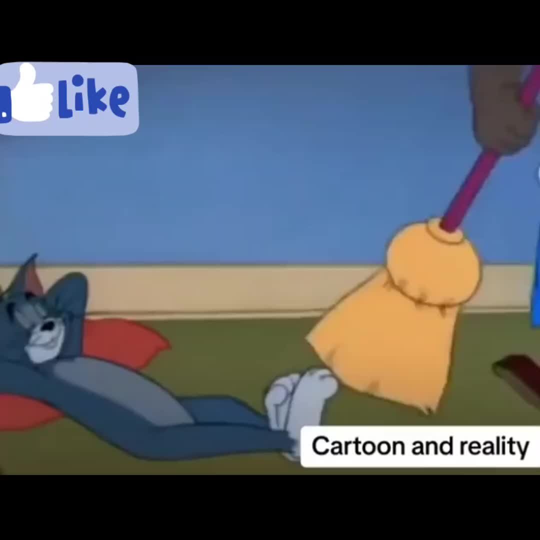 Сегодня я должен тебя поймать том. Том и джерри джерри убегает. Том и джерри. Cannery rodent. Сегодня я должен тебя поймать том.