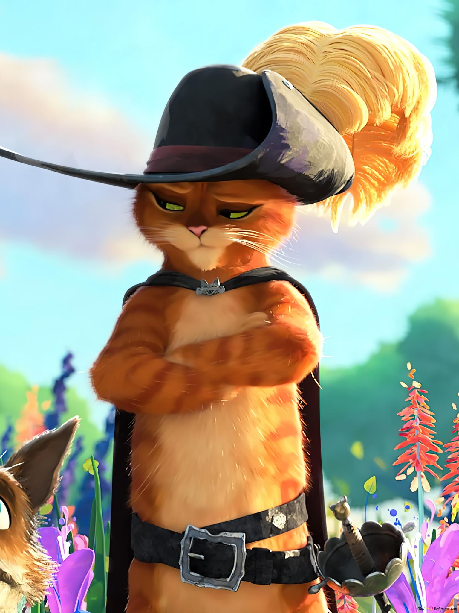 Кот в сапогах 2 последнее желание постер. Новый кот в сапогах 2022. Кот в сапогах дримворкс. Кот вс апогах дримворск. Кот в сапогах последнее желание.