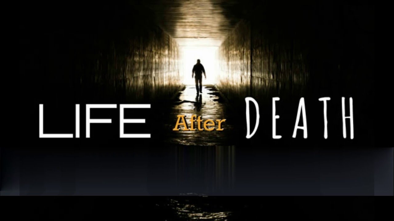 Life is dead. Life after Death. Life after Death - Life after Death. Life after прохождение.