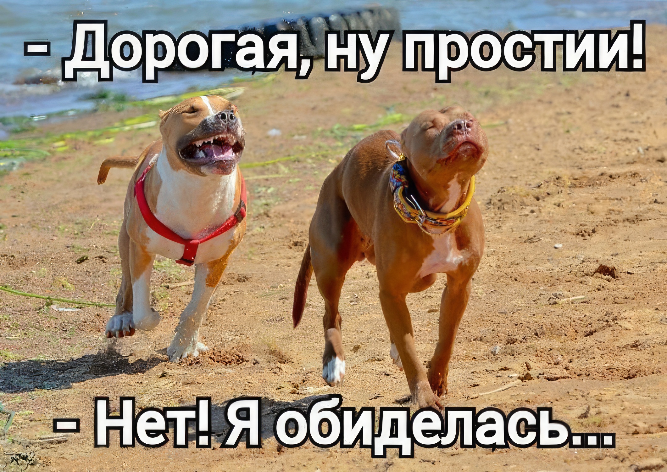 Не подходи ко мне. Ты обиделась нет. Обиделась нет сильно да. Ты обиделась нет сильно. Ты обиделась картинки.
