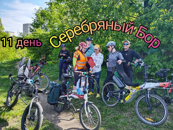 Едет бором