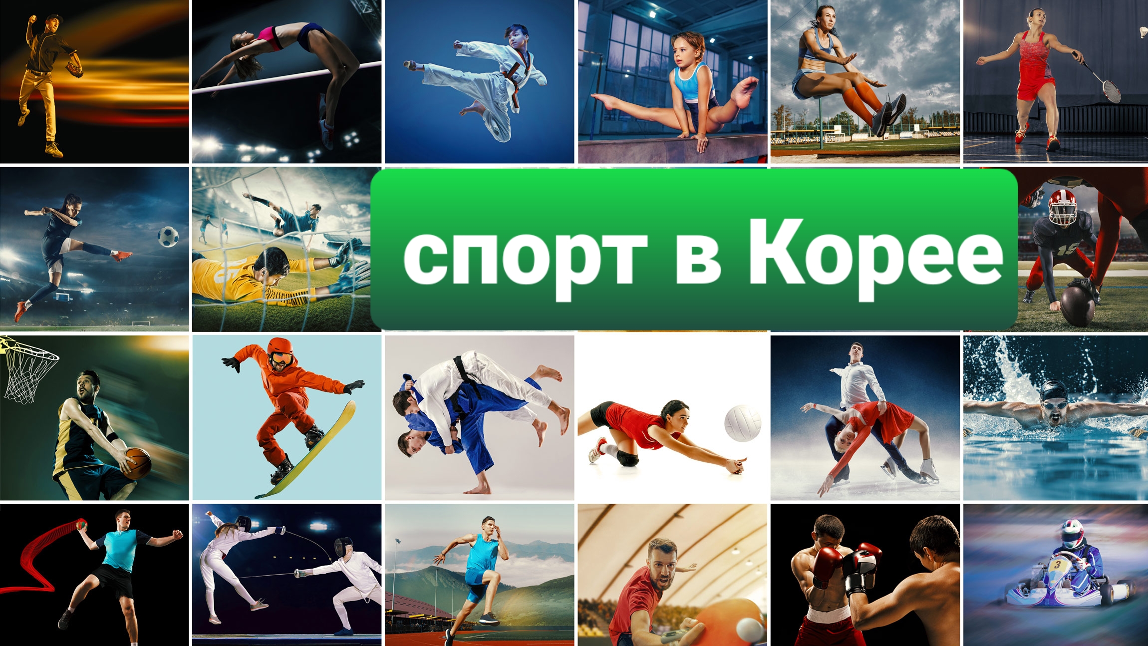 дорама спорт корея фото 42