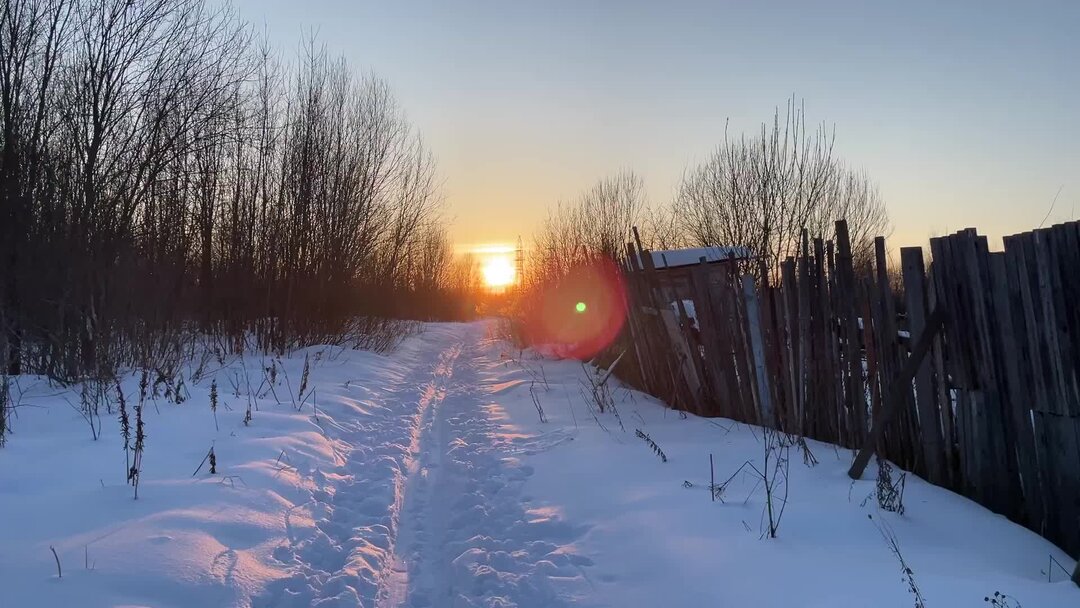 Катилась по небу луна в лесу была