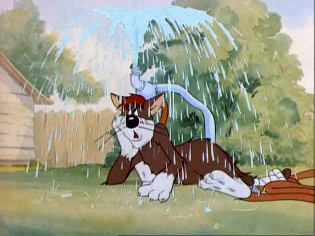 том и джерри 9 серия несчастные коты. несчастный кот том. том и джерри несчастные коты. том и джерри 1940 год. как менялись том и джерри.