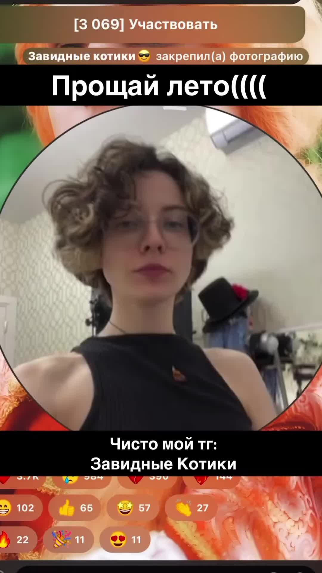 Елена Завидова | С сентябрем, коты🥺 мой тгк: завидные котики | Дзен