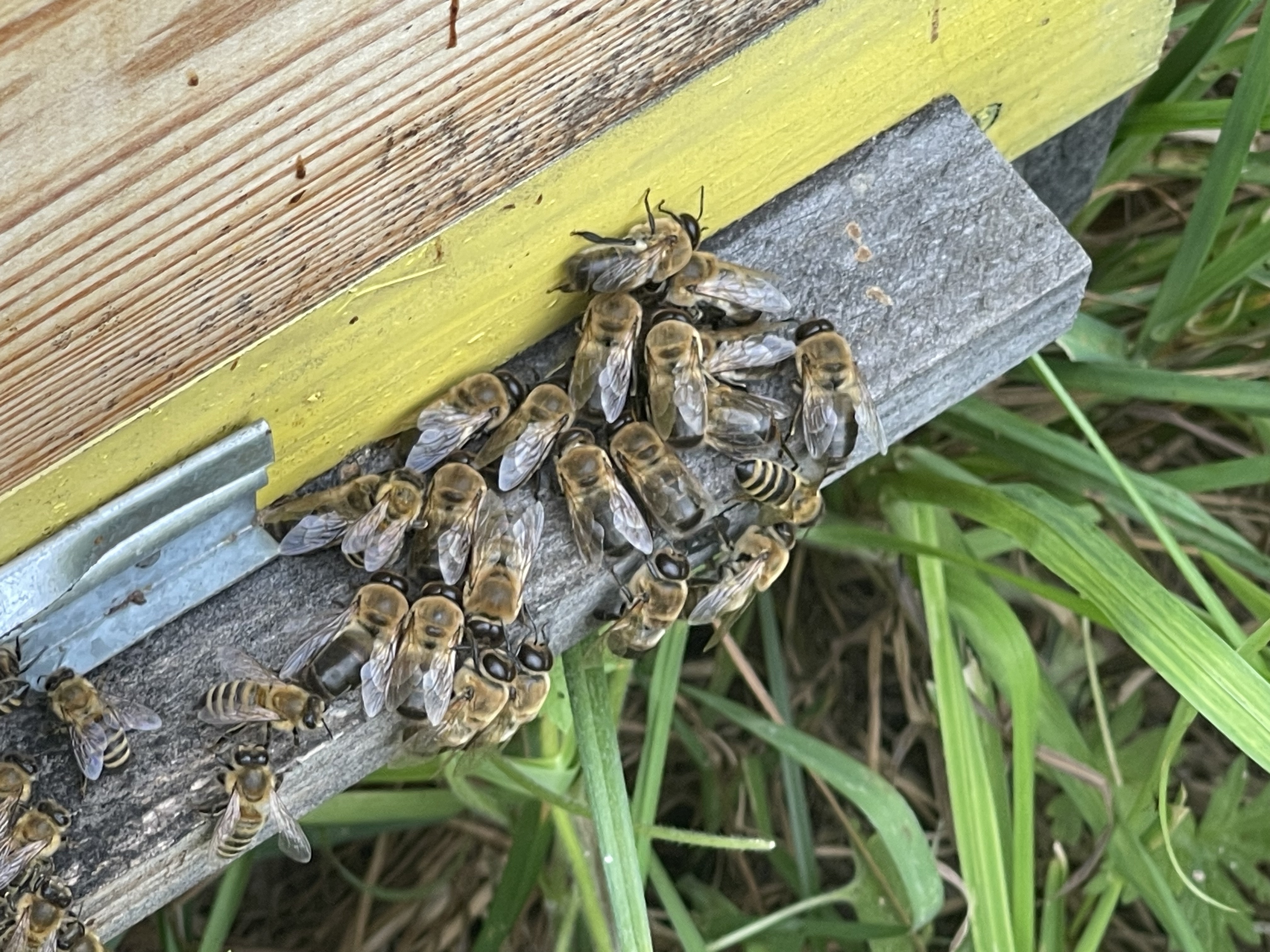 Почему правильное формирование гнезда так важно?