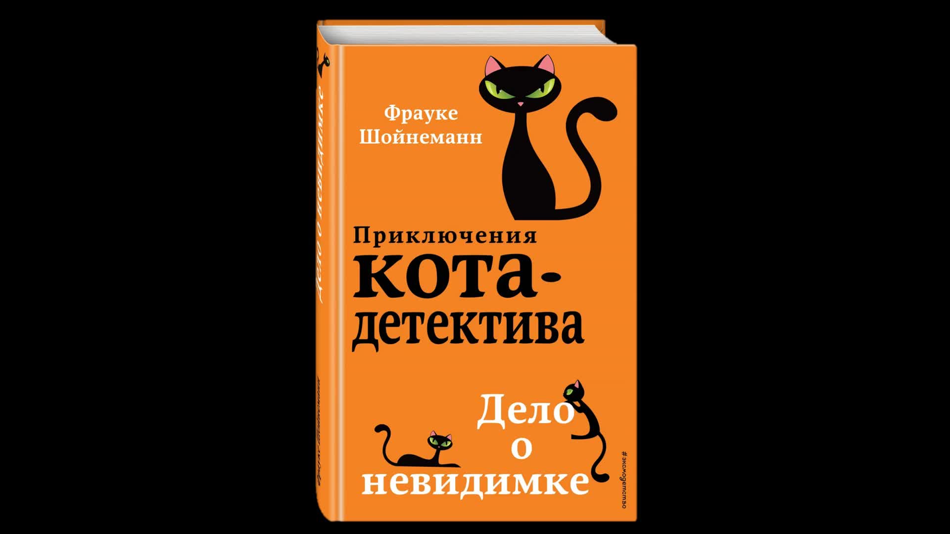 Приключения кота детектива