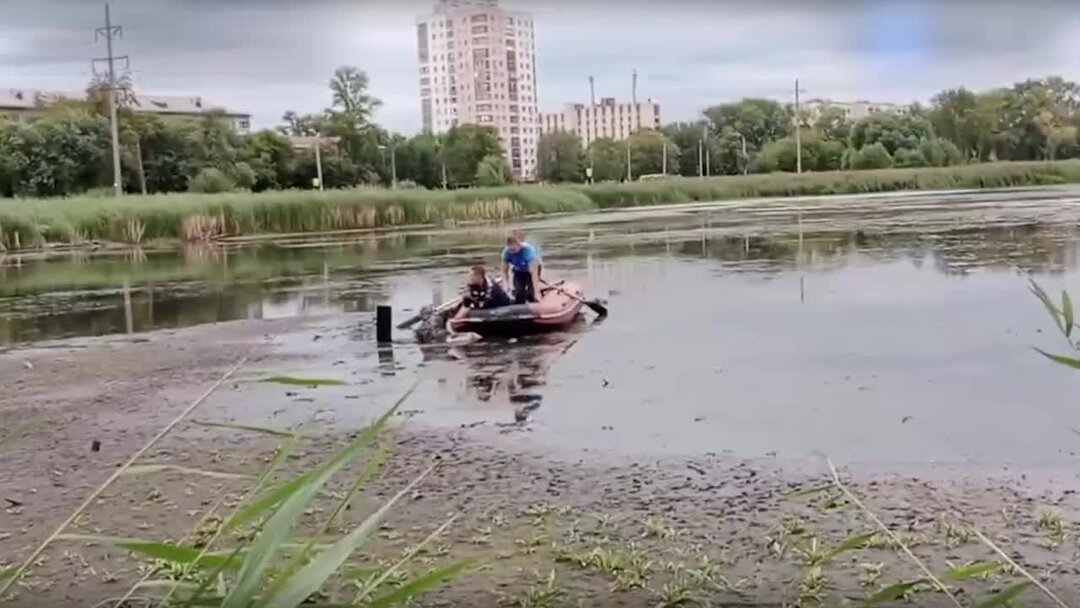 Челябинск новости фото