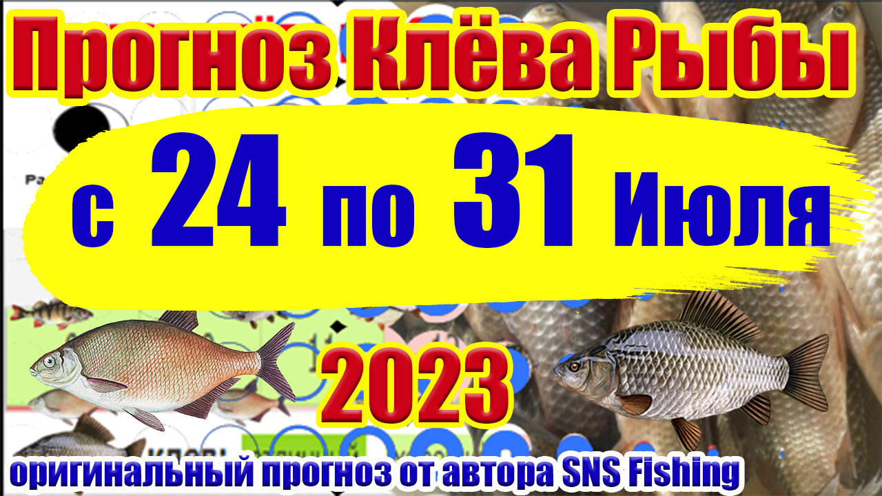 Прогноз клева рыбы в московском. Таблица клева рыбы. Прогноз клева. Нерест окуня. Клев чита.