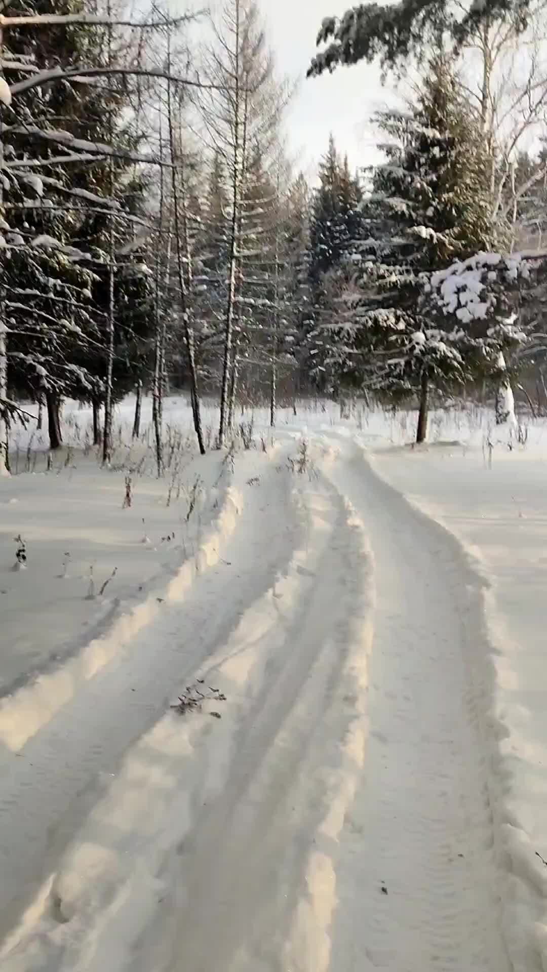 ооо стим строй ижевск фото 18