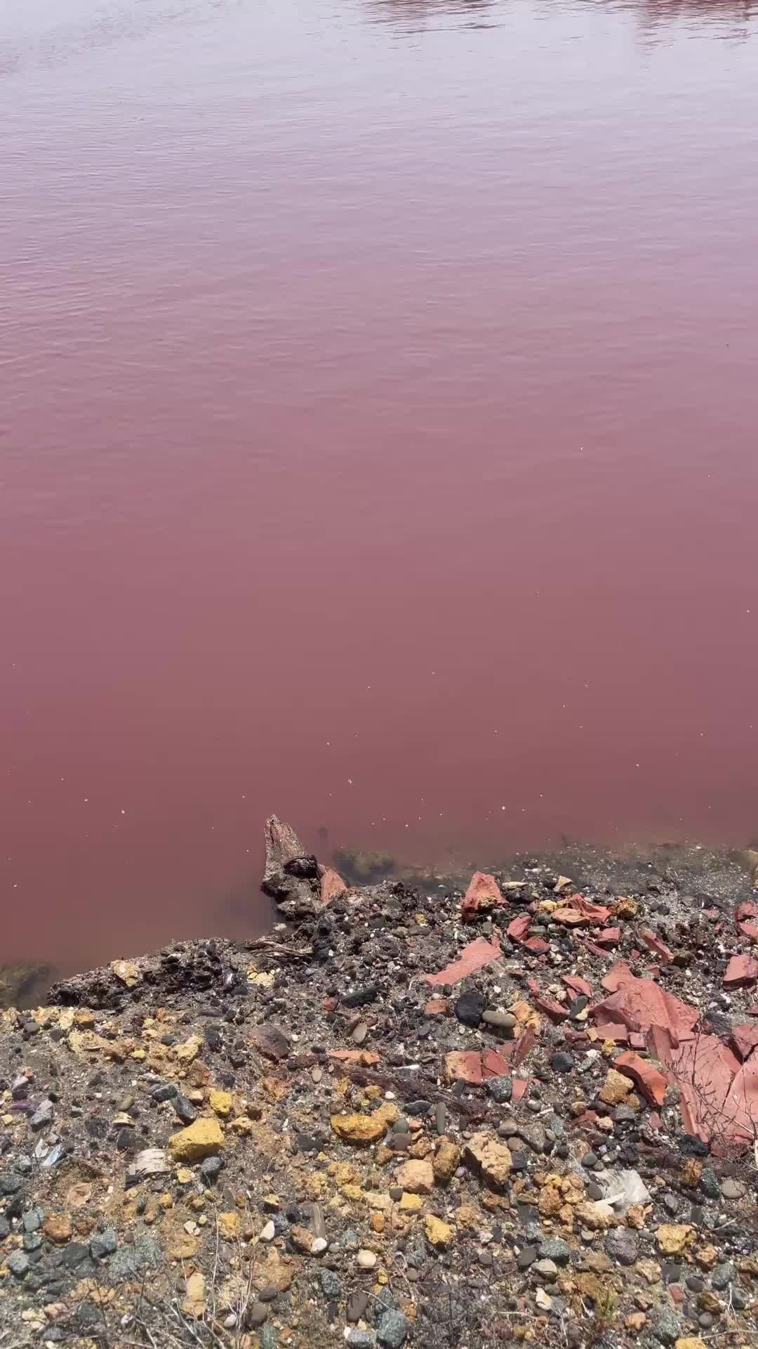 розовое озеро реальное