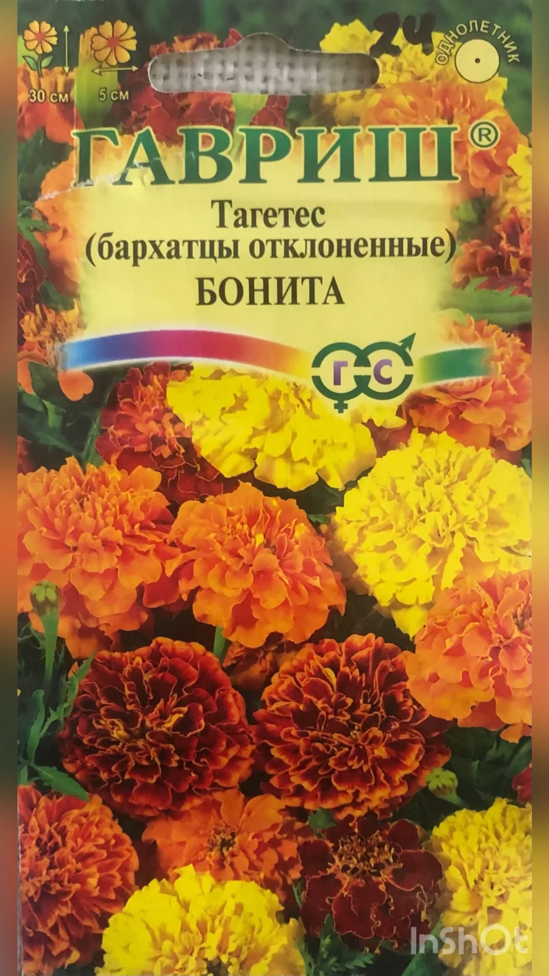 Семена бархатцев. Семена Гавриш бархатцы прямостоячие Тагетес f1 Килиманджаро. Бархатцы отклоненные Бонита. Бархатцы отклоненные Брокада смесь. Бархатцы отклоненные Тагетес Бонита.