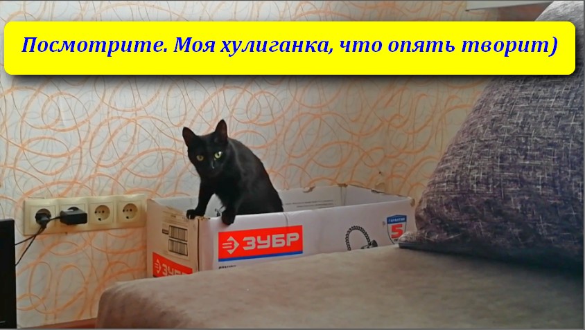 мемы про внутренний голос. творить или вытворять цитаты. я личность творческая хочу творю хочу вытворяю картинки. мама помнишь что такое детство. стих склонилась ночью мама над кроваткой.