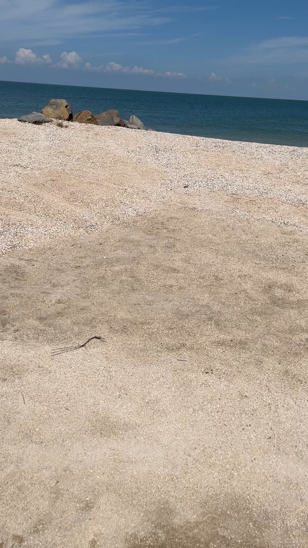 азовское море ейский район