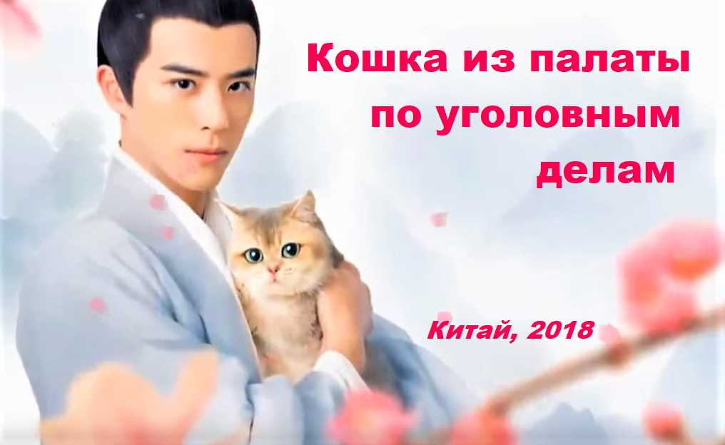 Кошка из палаты по уголовным делам дорама