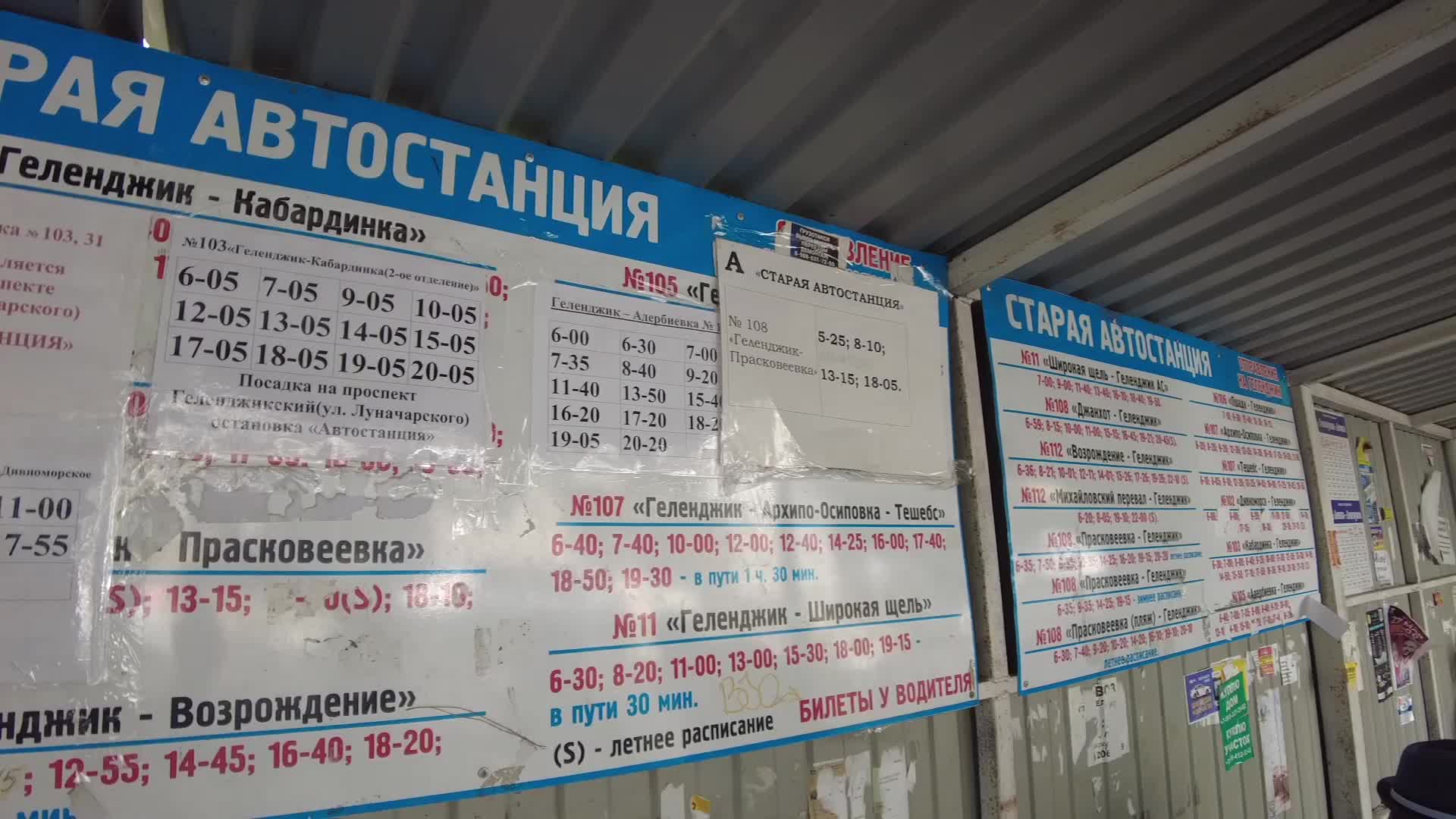 Номер телефона автовокзала камень на. Номер телефона автовокзала камень на. Автовокзал камень на оби. Алтай автовокзал. Номер телефона автовокзала свободный.