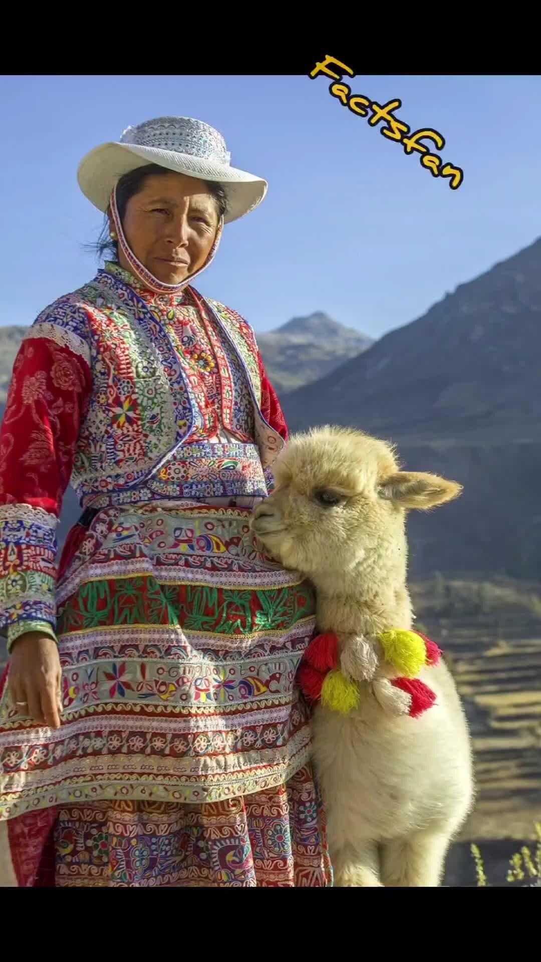 Южная америка перу. Типичная одежда жителей анд 5 букв. Типичная одежда жителей анд 5 букв. Типичная одежда жителей анд 5 букв. Чили жители чилийцы.