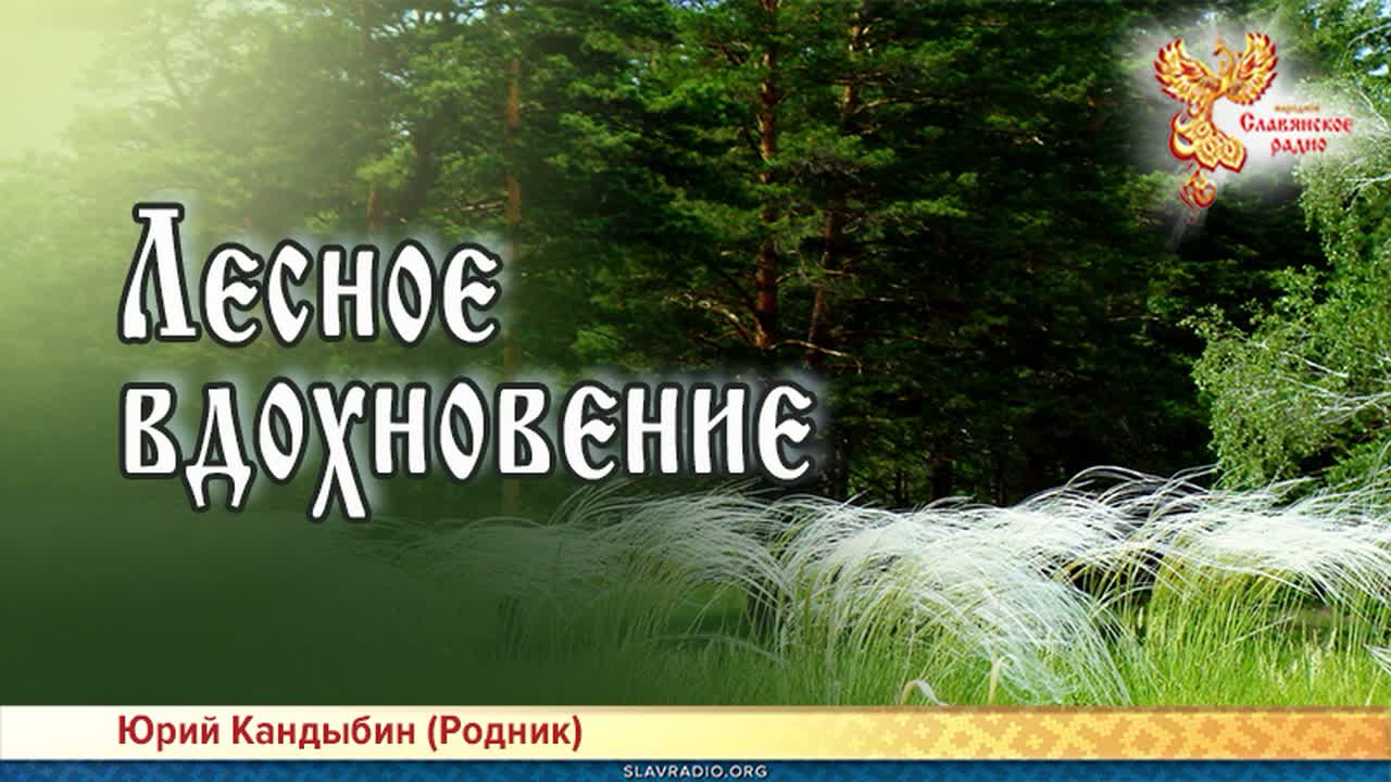 Прочитайте родник. Народное Вдохновение