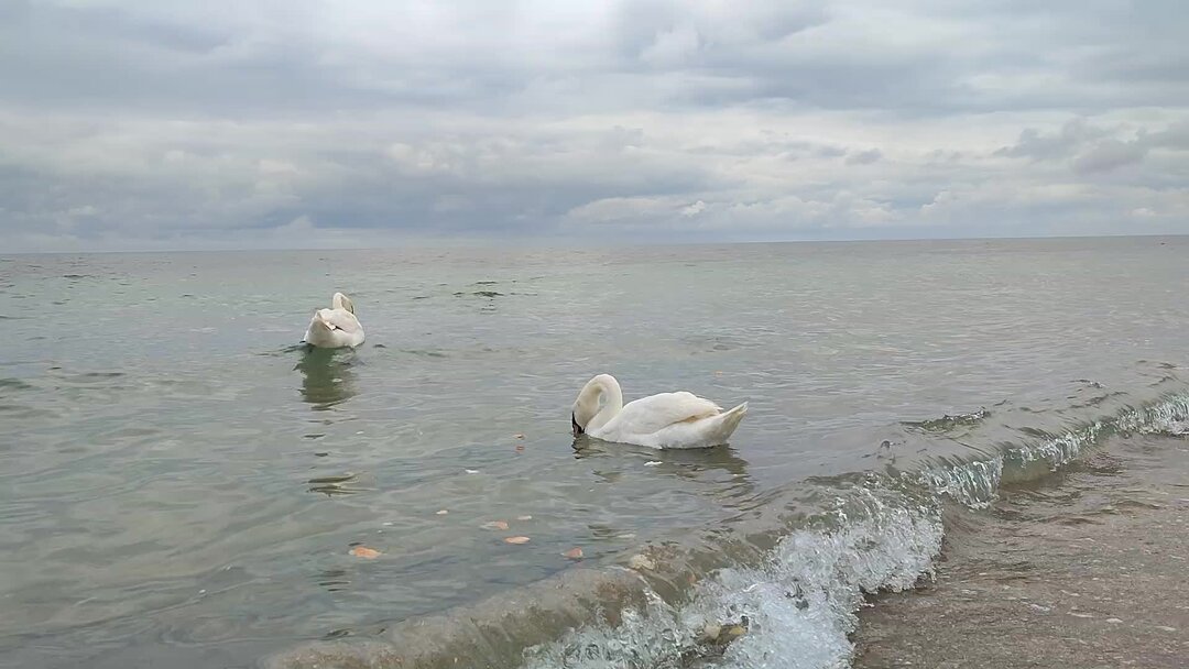 Евпатория июнь