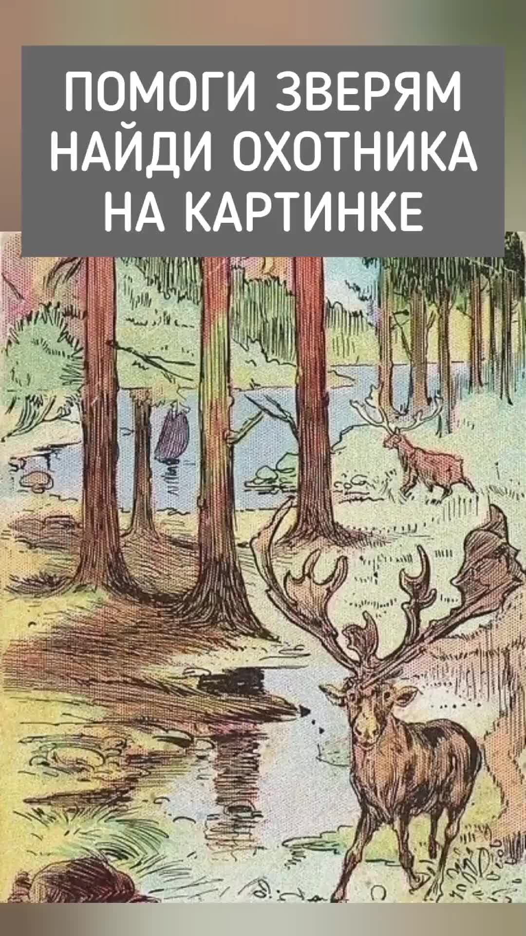 Включи где охотник. Найди охотника головоломка. Найди охотника на картинке. Охотник каёмчатый картинка. Найди охотника реклама.