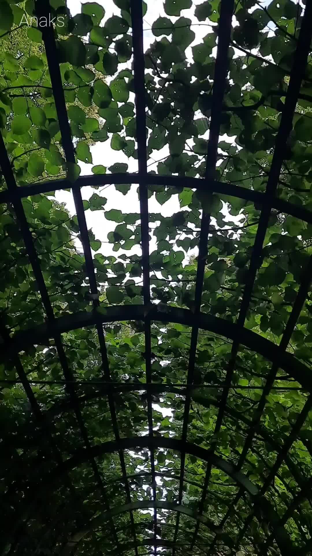 Anaks from Питер 💙 Моя простая жизнь | Мои рекомендации в жару. Летний ...