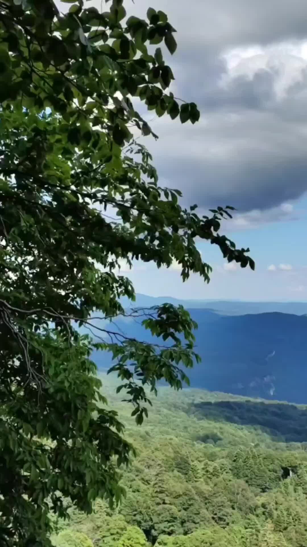 Апшеронск Мезмай