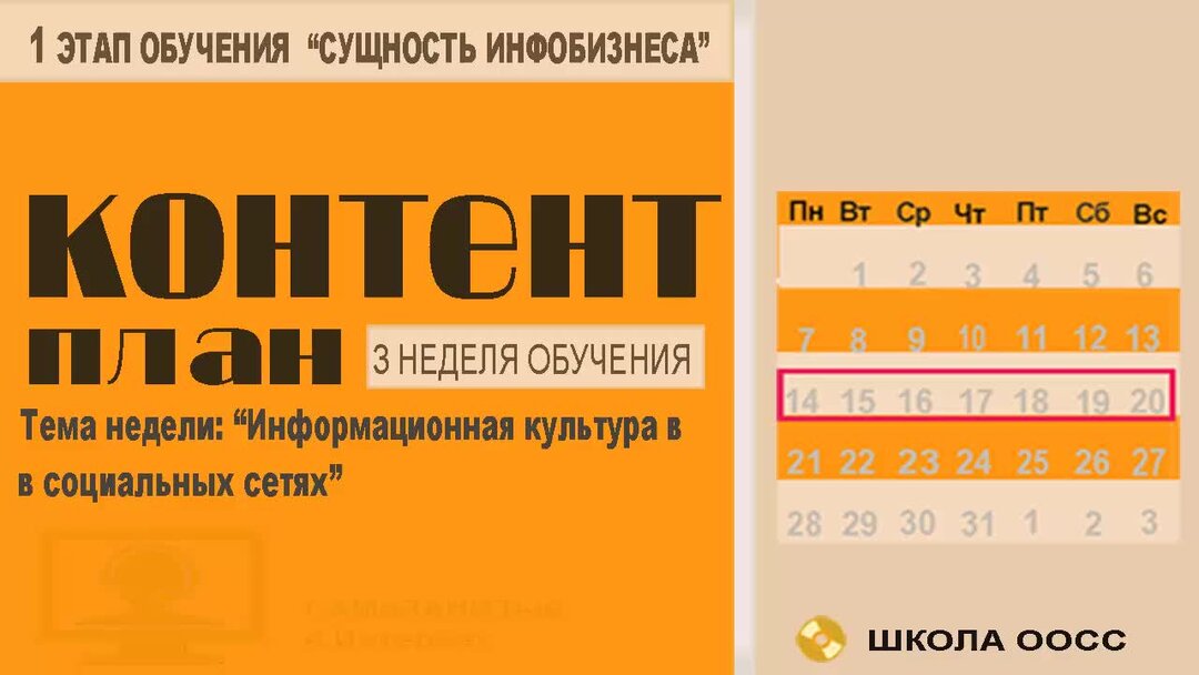 6 недель учимся