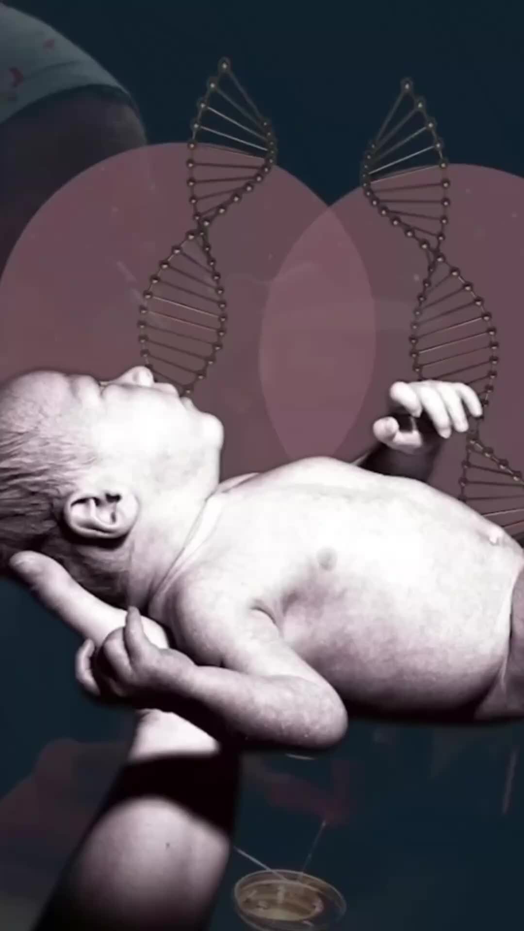 НОМУС ВолгГМУ | Ребёнок от трёх родителей? 👨‍👩‍👧 #НОМУС_ВолГМУ #Изнутри ...