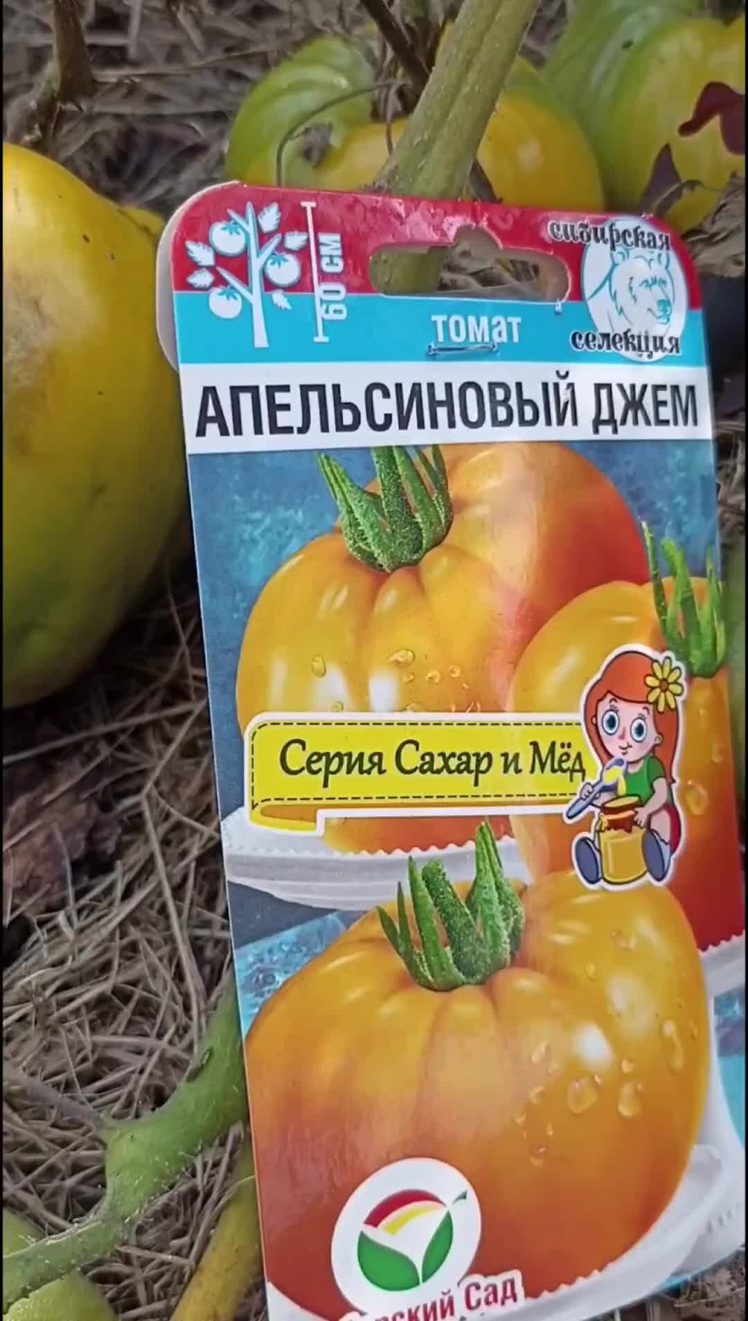 Томат конфитюр отзывы