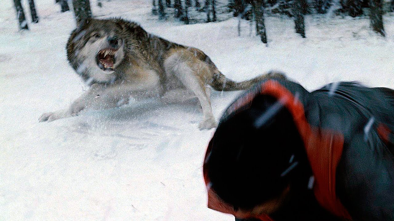 охотник преследования. охотник за дезертирами сериал 2021 корея. охотник преследования. сериал преследование 2019 великобритания. охотник преследование сериал.