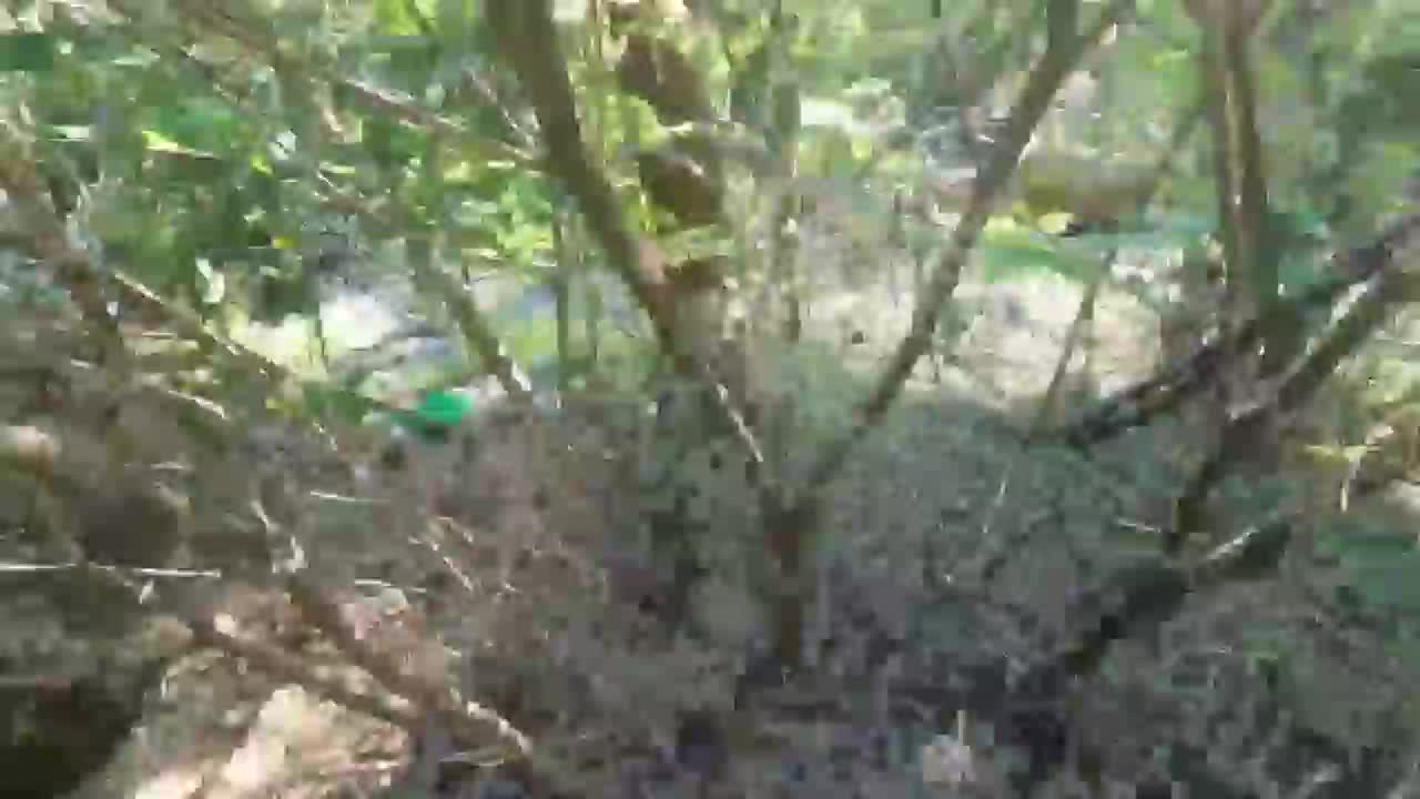 Отряд ВСУ численностью сто пятьдесят человек был уничтожен на левом ...