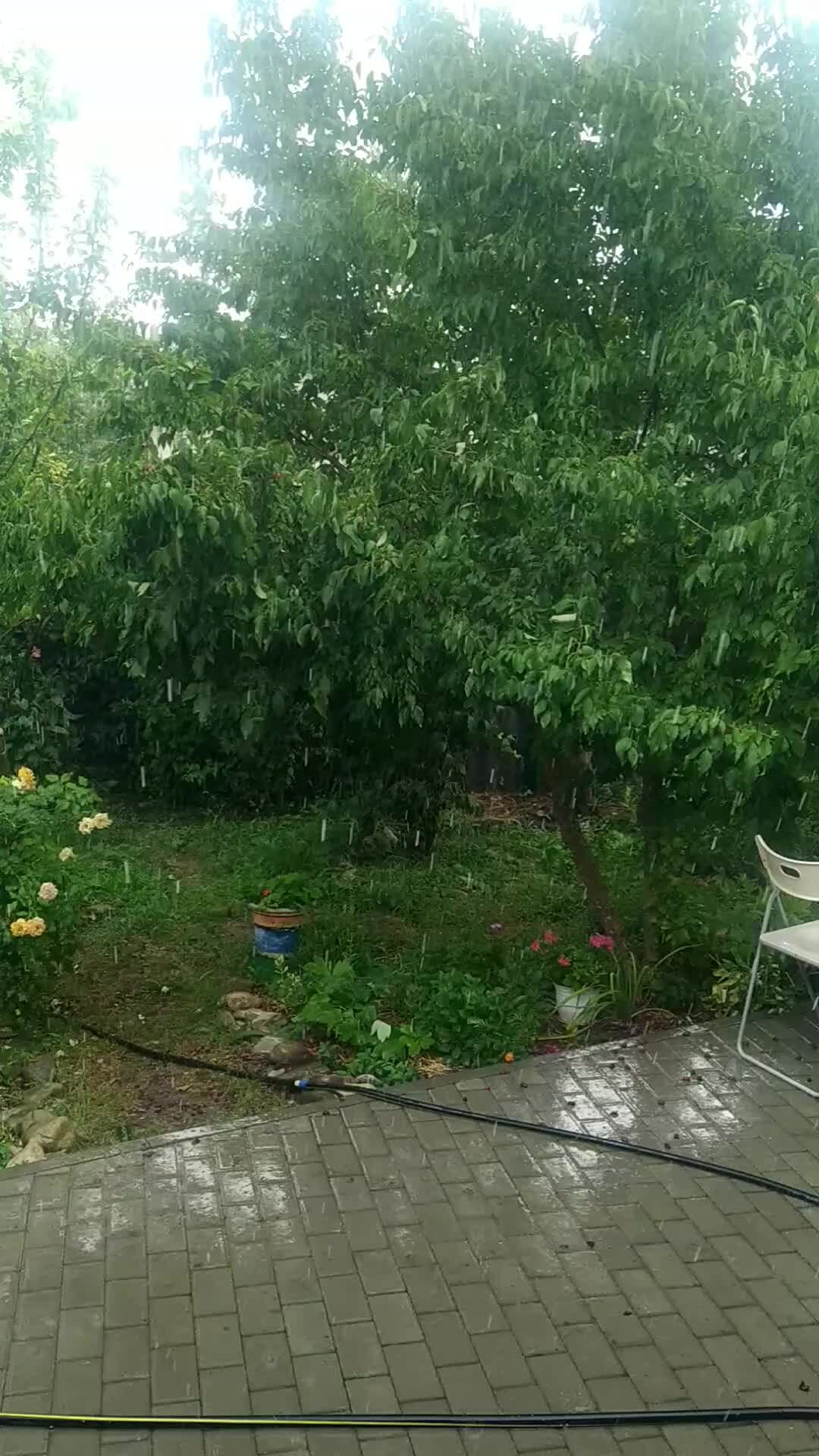 Дневник отчаянных пенсионеров | Крымский дождь после затяжной жары | Дзен