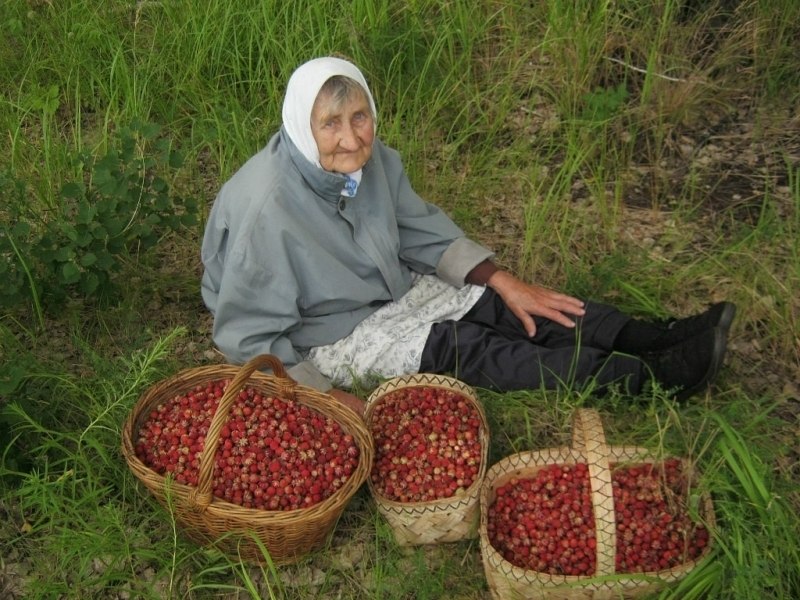 Бабушка с малиной картинки