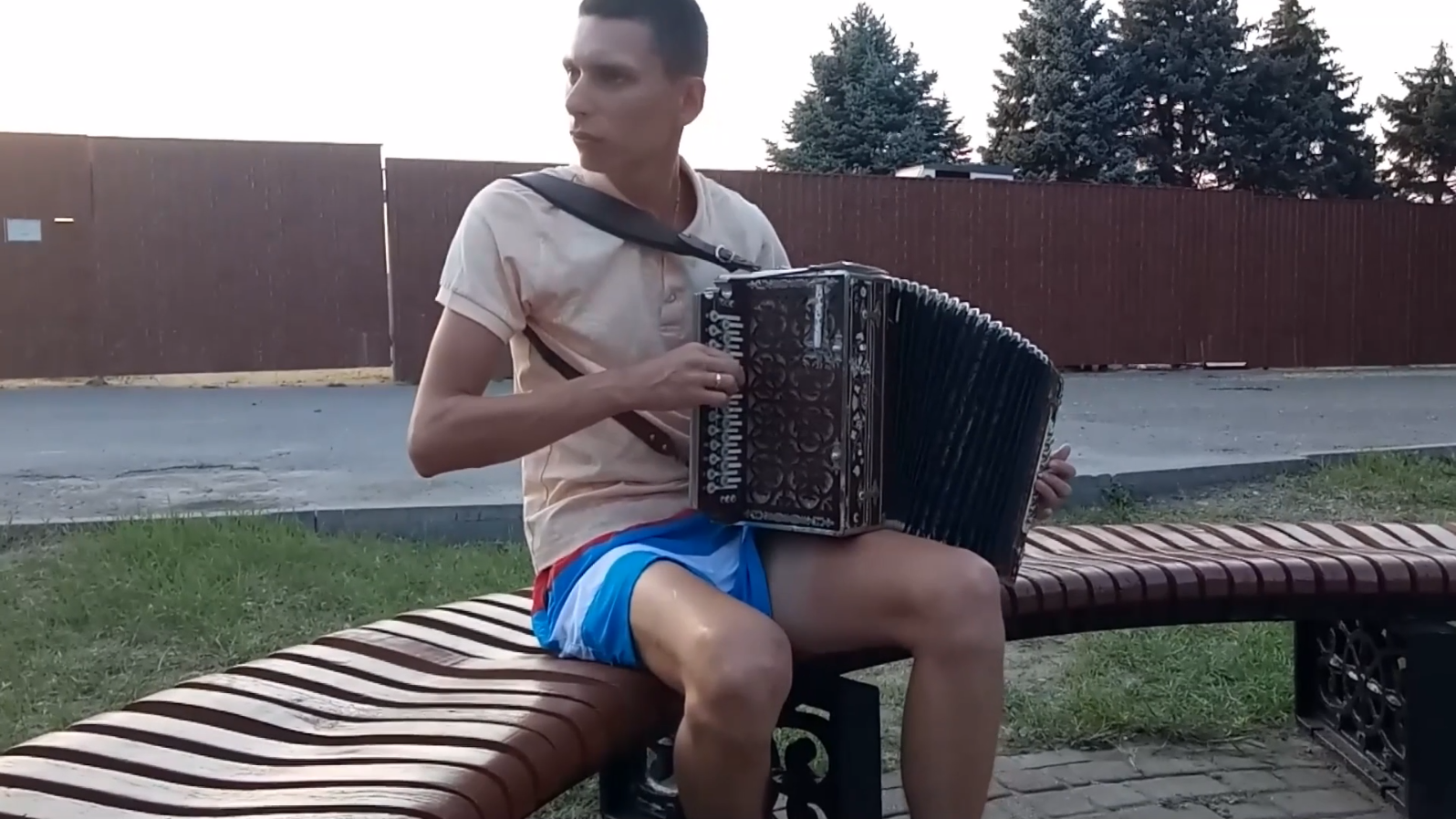 Мужик с гармошкой картинки
