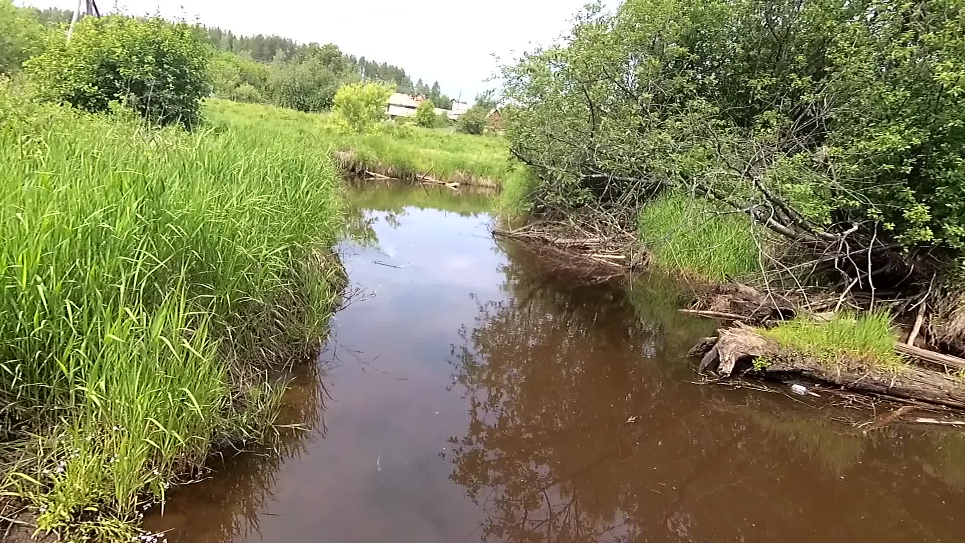 река черная сургут