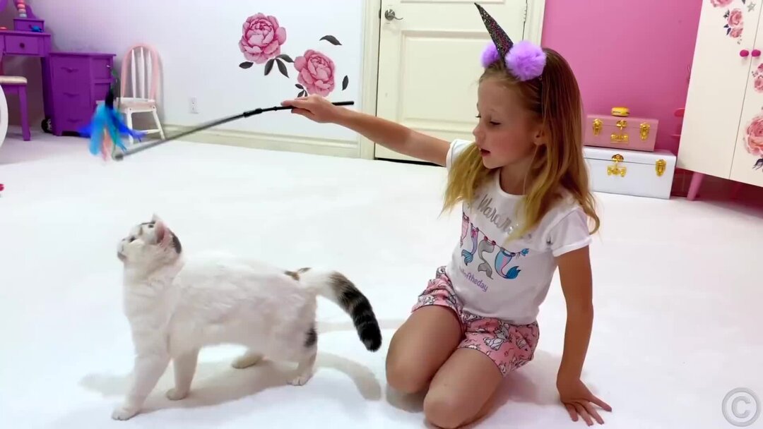 Включи poppy playtime котенок лайк